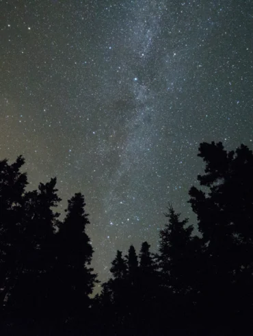 Night Sky