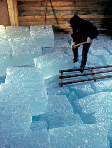 Ice Harvest