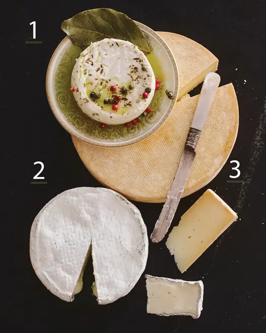 An Assortment of cheese