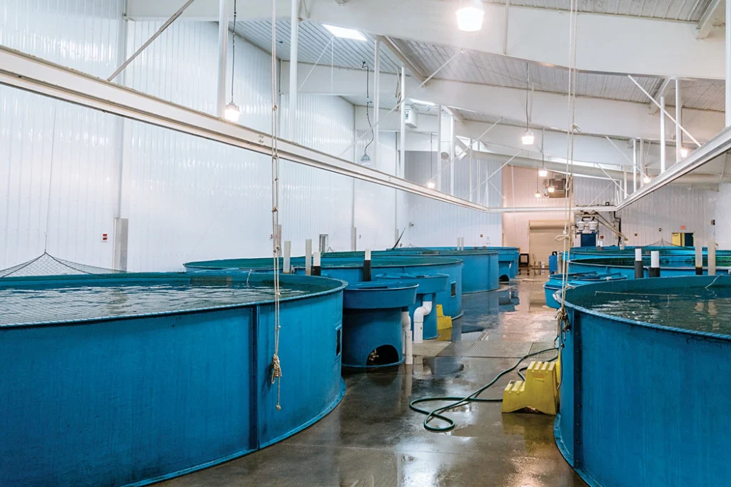 pool tanks for fishery
