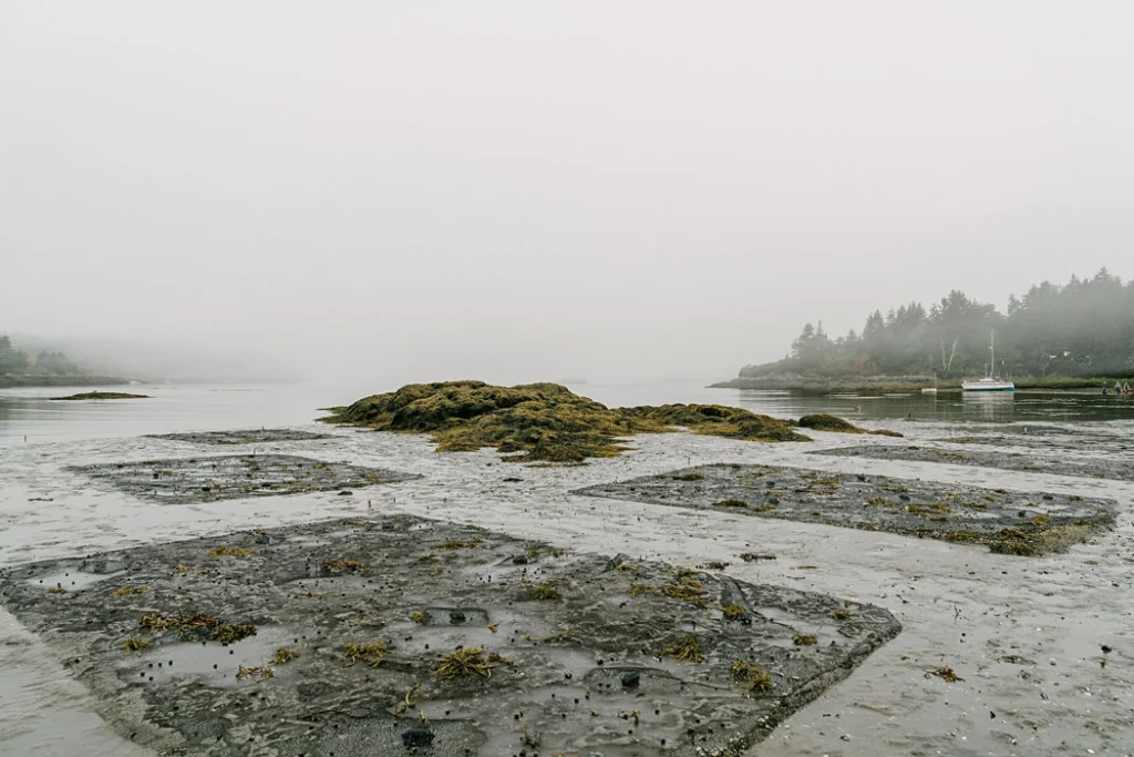 clam beds