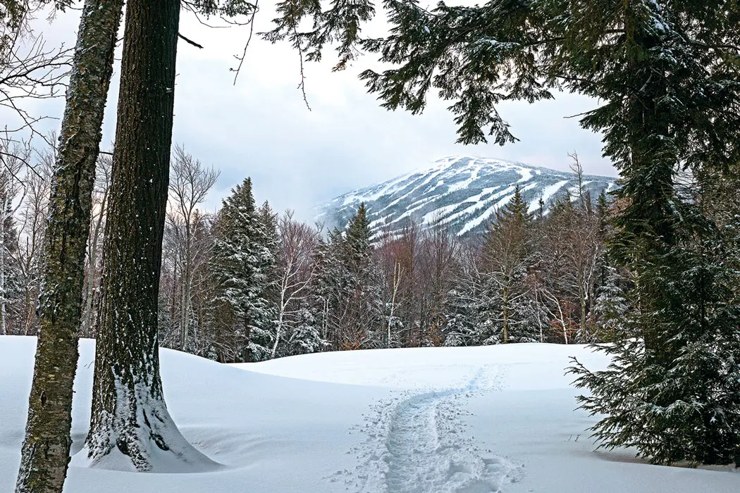 Snowy Mountain