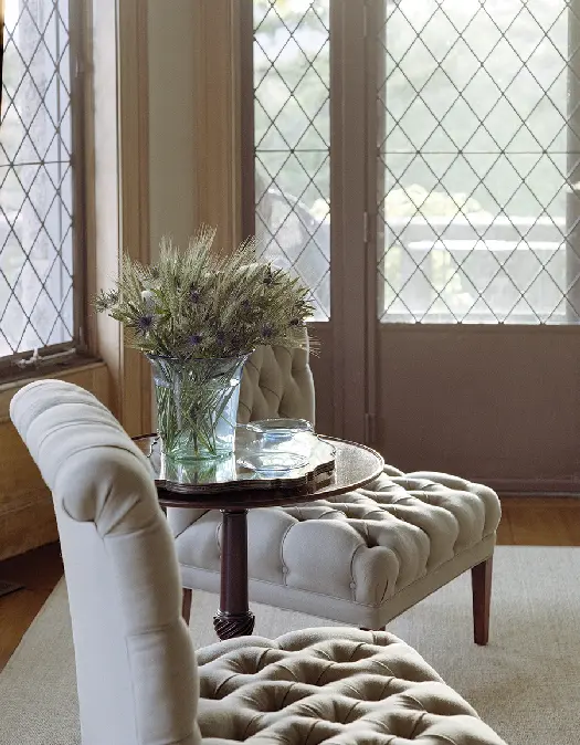 small table with chairs and plant