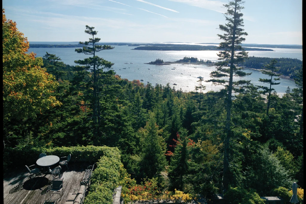 view from the house