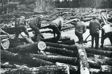 Old photo of loggers working on logs