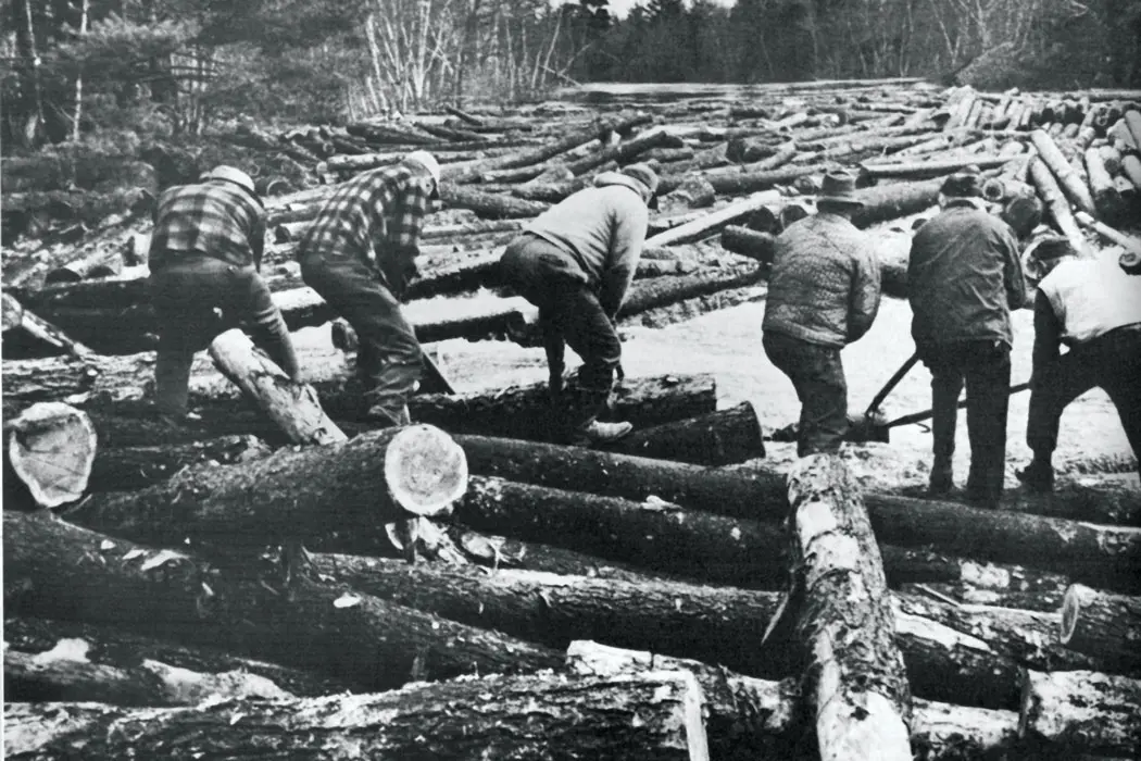 Old photo of loggers working on logs