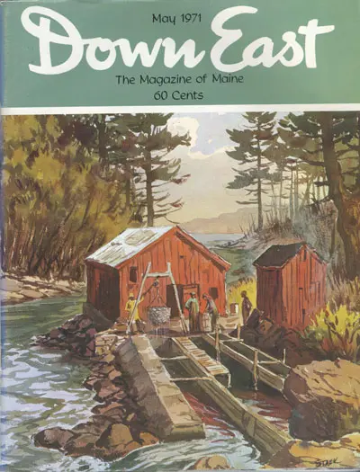 Illustrated Alewife Run at Nequasset Brook 1971