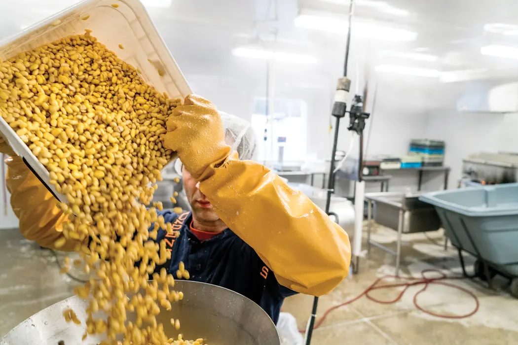 Jeff Wolovitz grinding organic soy beans for Heiwa Tofu