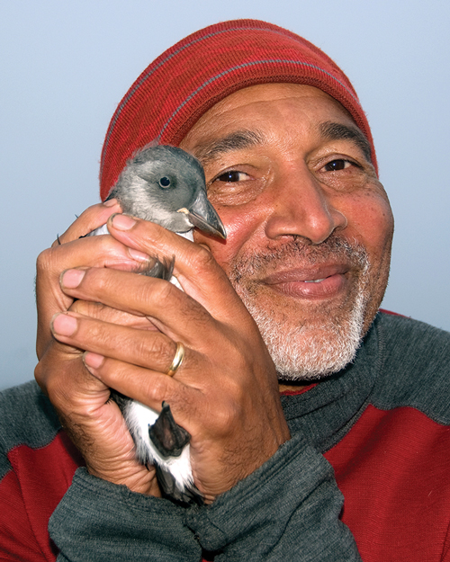 Derrick Jackson holding baby puffin