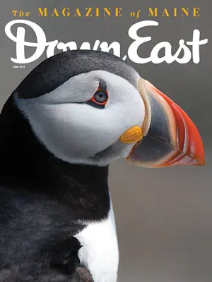 June 2017 issue