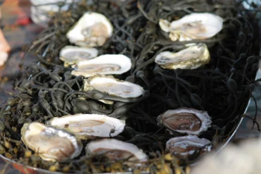 Oyster Tasting at North Haven Oyster Co.