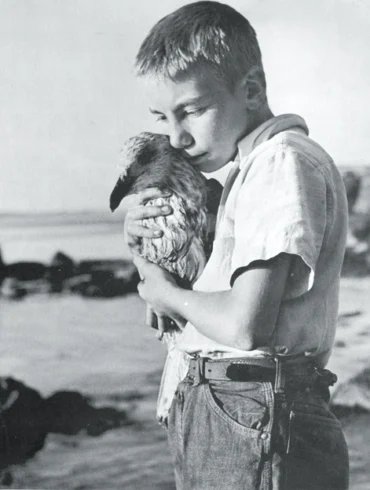 David Boynton with seagull on Monhegan Island