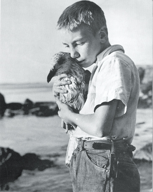 David Boynton with seagull on Monhegan Island