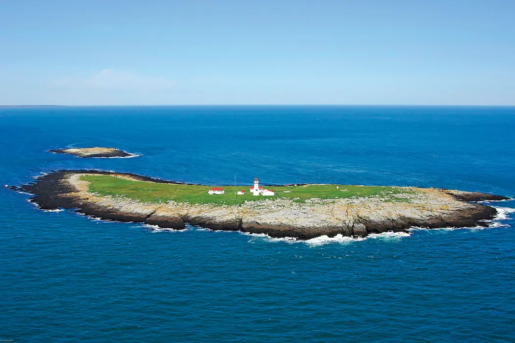 Machias Seal Island