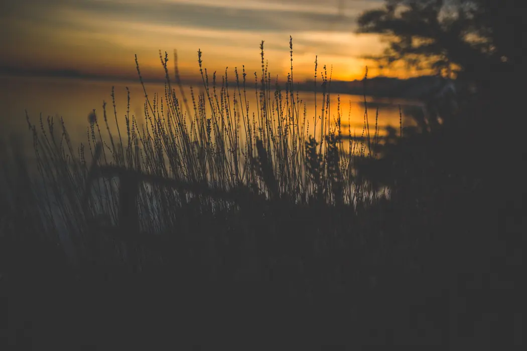 Lake at Night