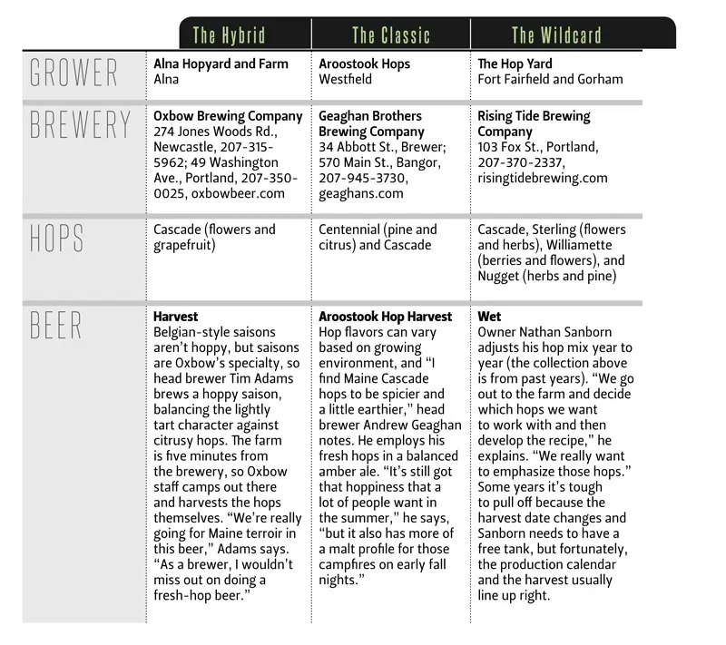 Maine Beer