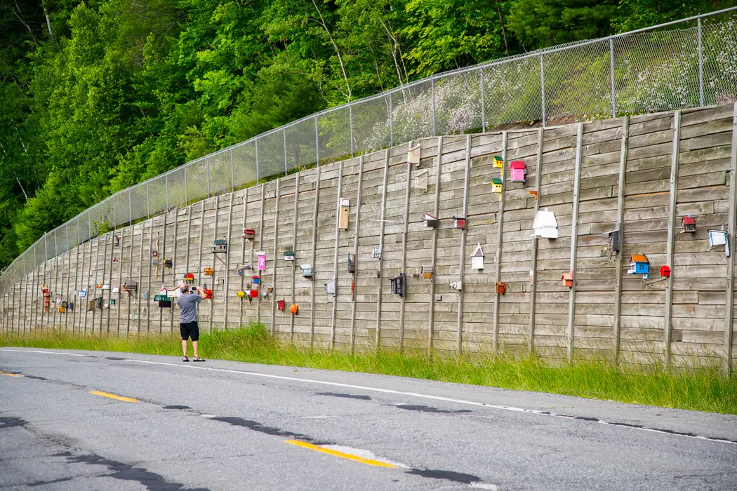 Roadside birdhouses on a retaining wall in Moscow, Maine