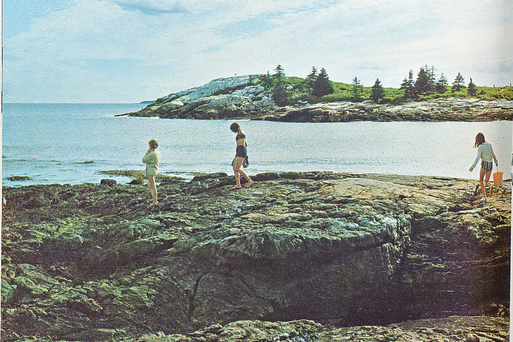 people walking on ocean rocks