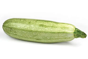 Zucchini