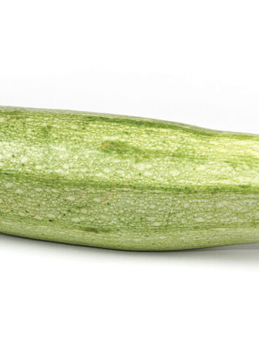 Zucchini