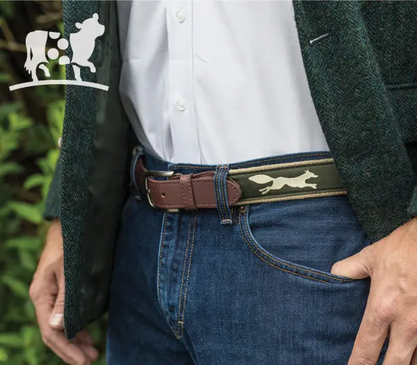 belted cow company