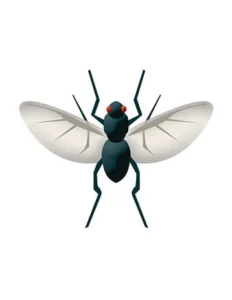 fly emoji