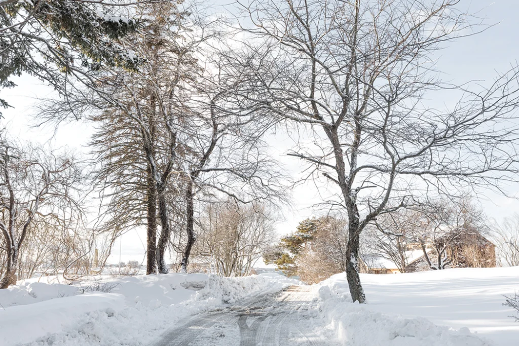 Peaks Island, Maine