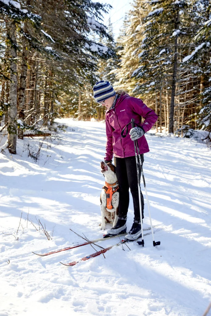 Dogs are welcome on some trails at the Rangeley Lakes Trails Center