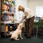Working Like Dogs