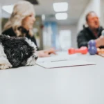 Working Like Dogs