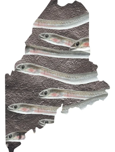 Map of Maine