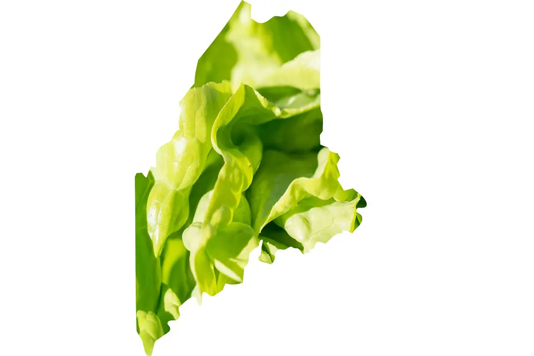Maine map