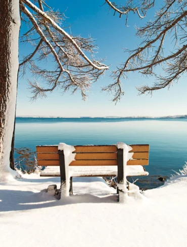 Mackworth Island State Park,