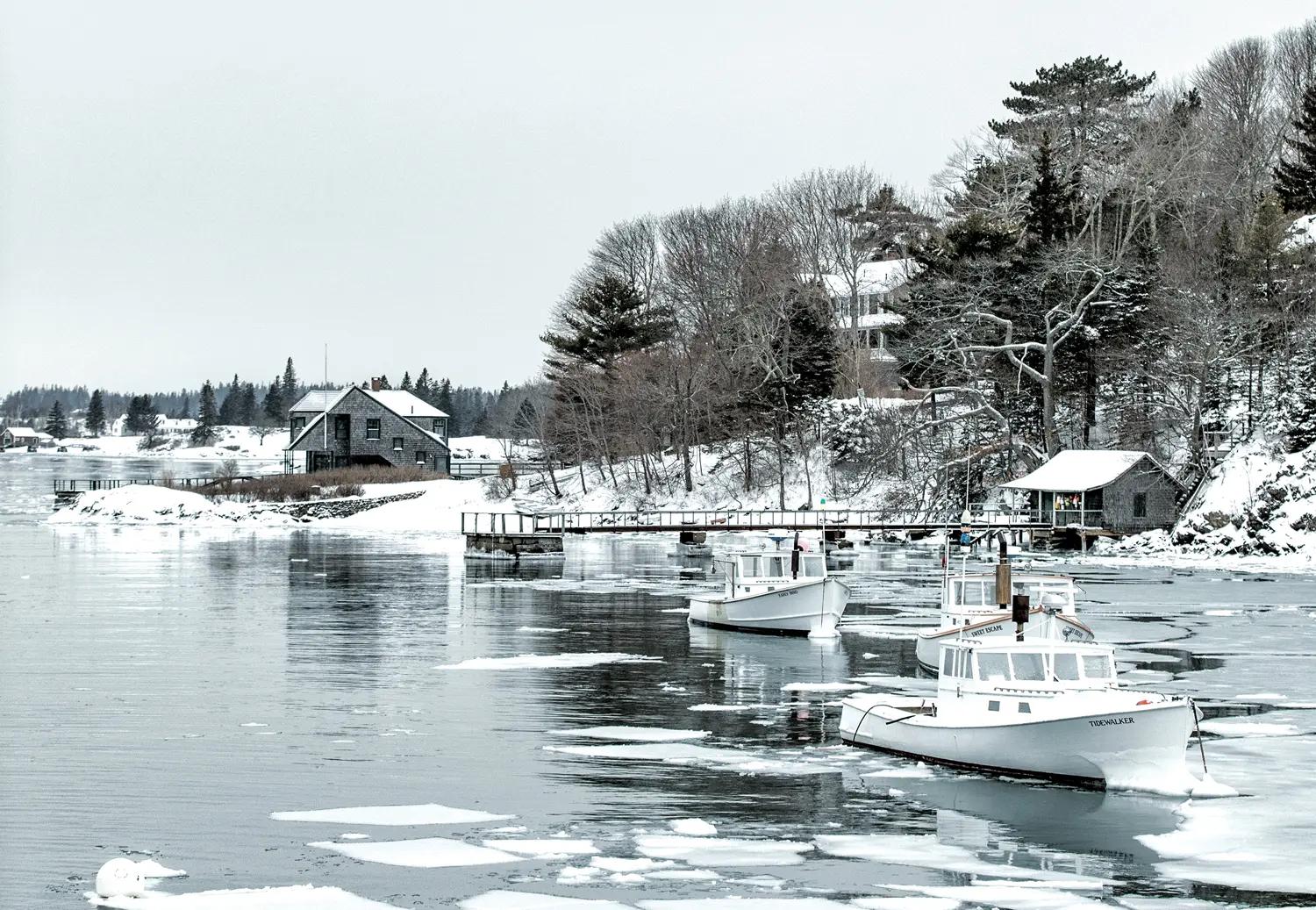 North Haven, Photographed by Greta Rybus
