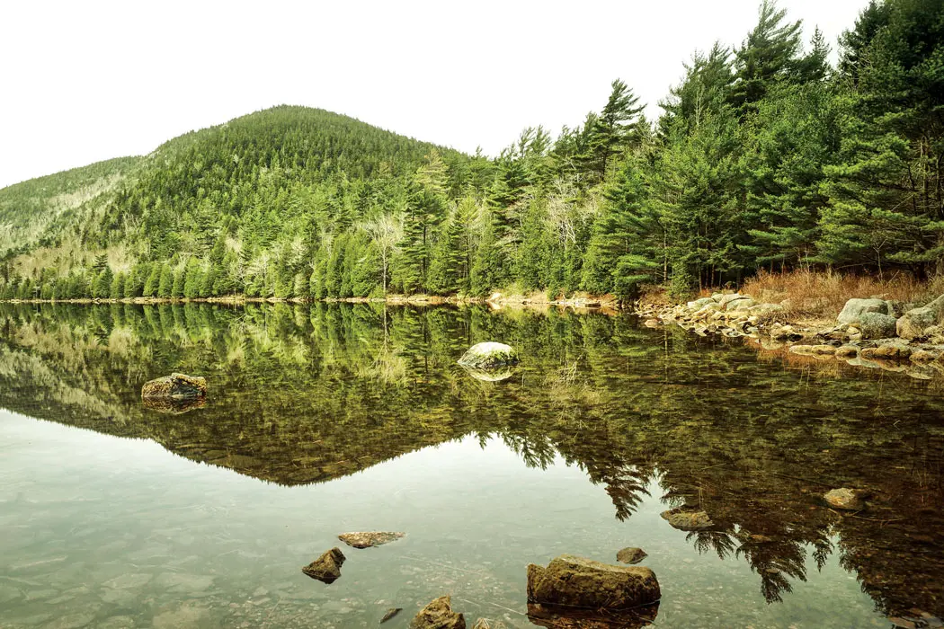 Bubble Pond