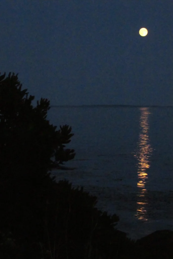 near Marshall Point