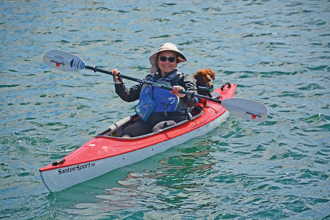 Kayakers (and sometimes their dogs) are a common sight on the Kennebunk River and elsewhere.