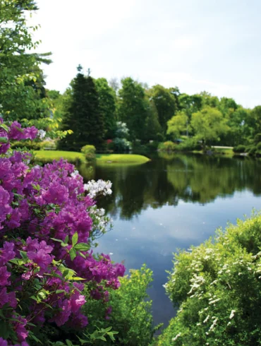 Acadia Gardens