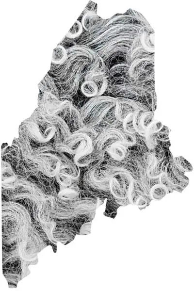 Maine Dispatches