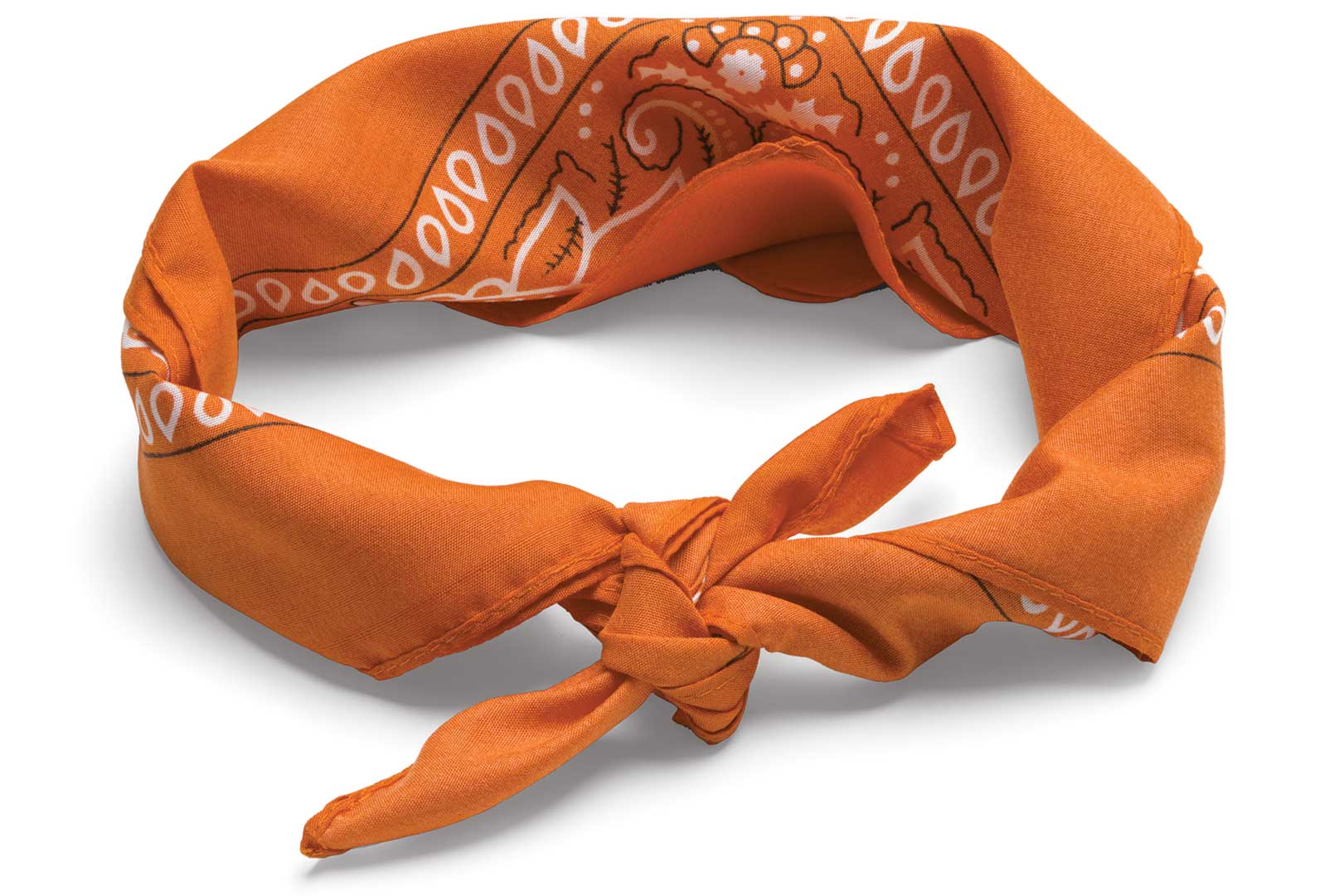 Your Maine Mountain Trail Guide bandana