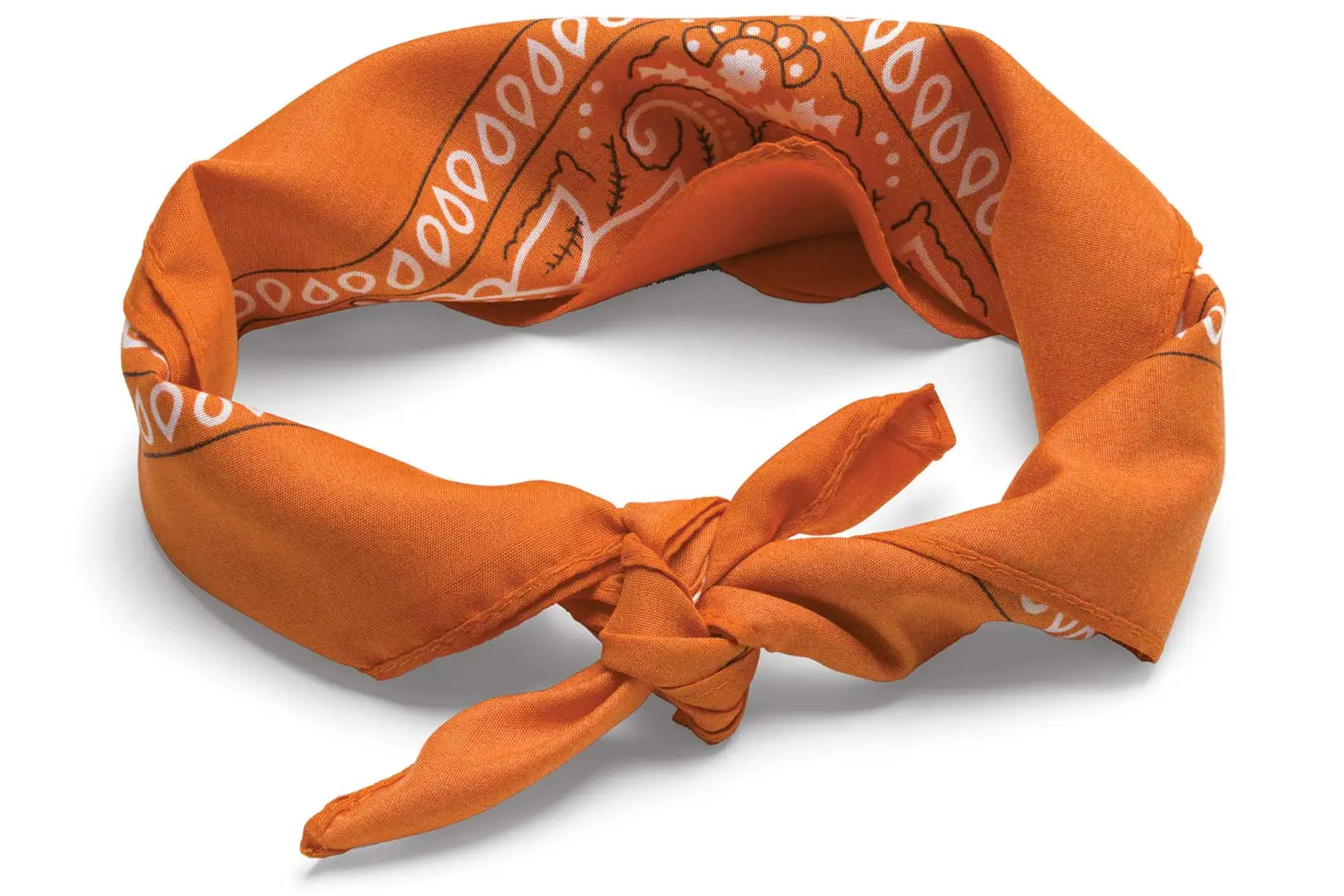 Your Maine Mountain Trail Guide bandana