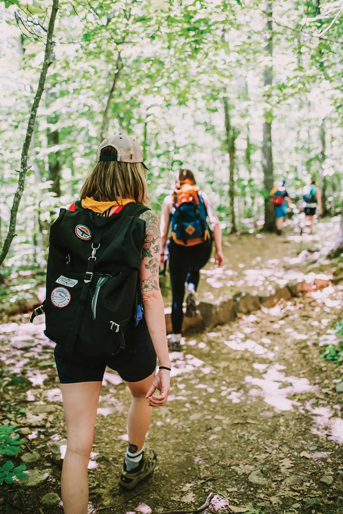Your Maine Mountain Trail Guide