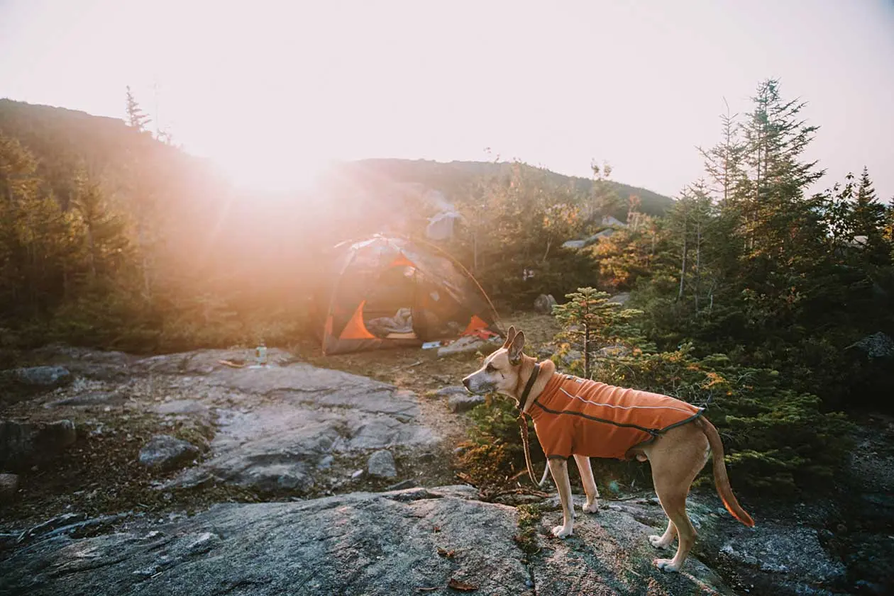 Your Maine Mountain Trail Guide