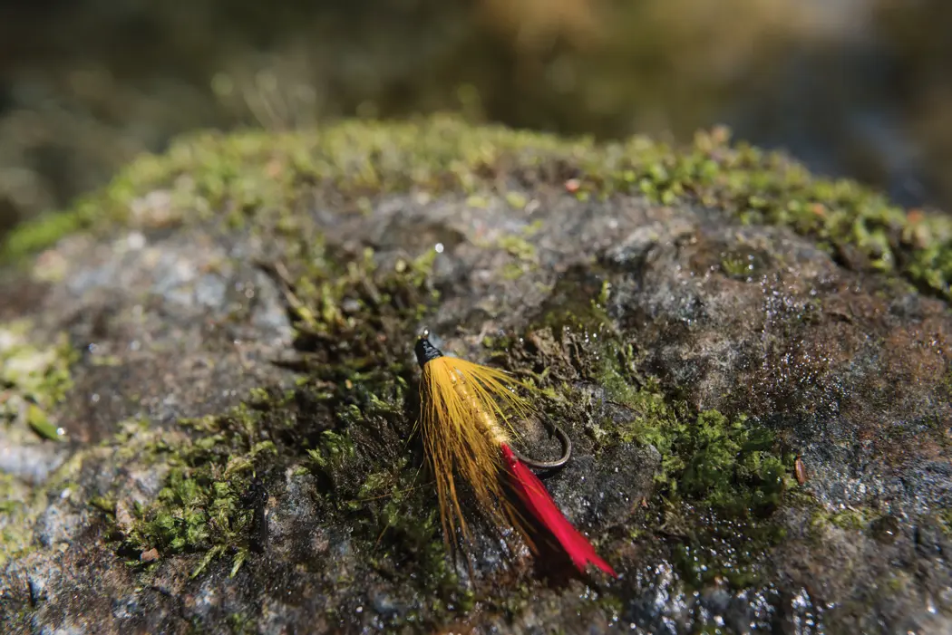 Theriault Flies