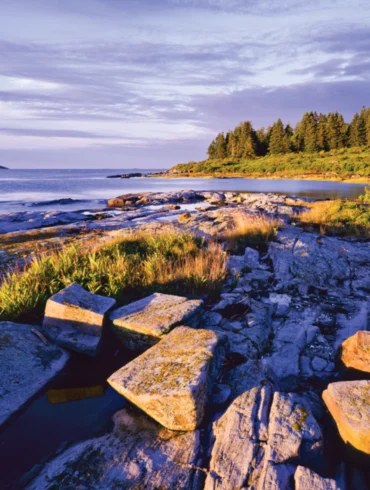 Where in Maine August 2018