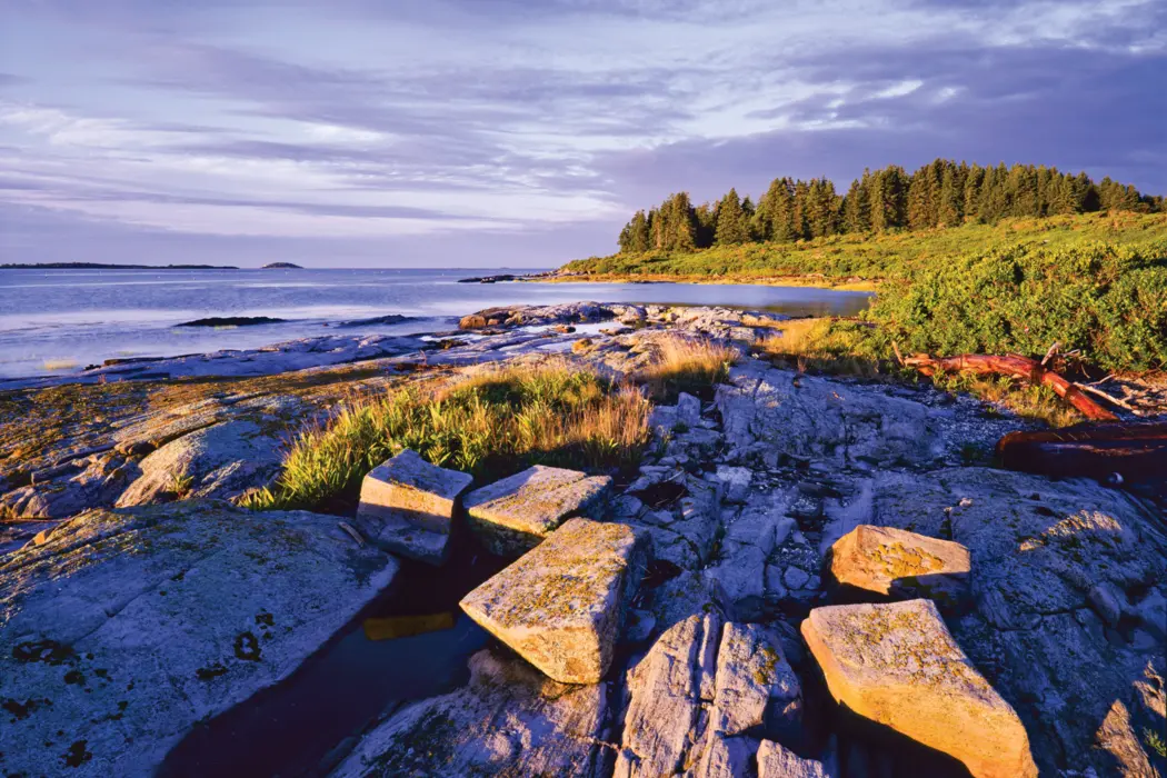 Where in Maine August 2018