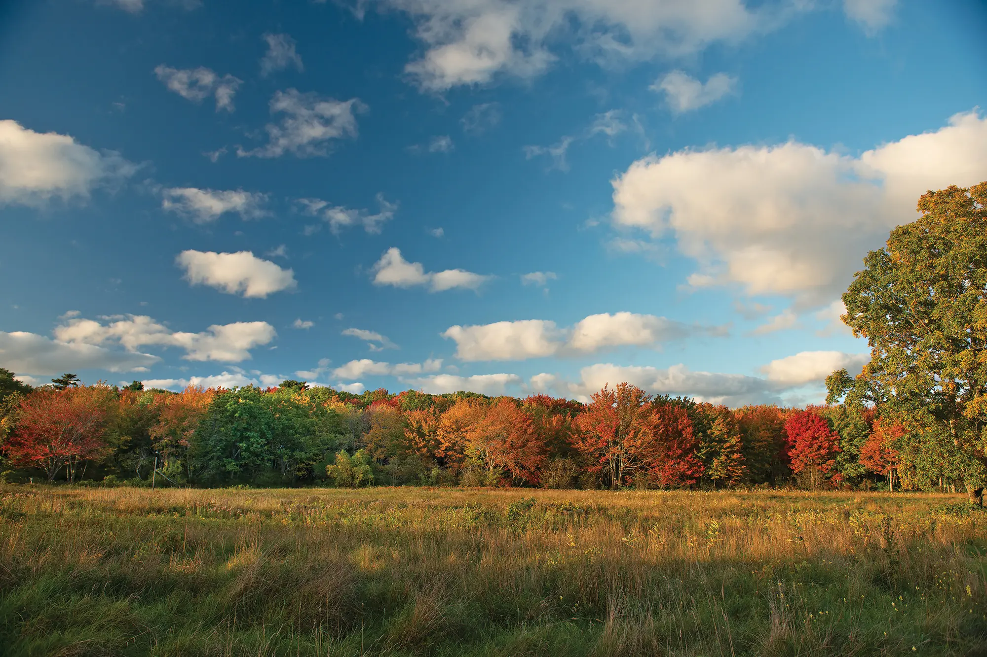 A York County Autumn A York County Autumn