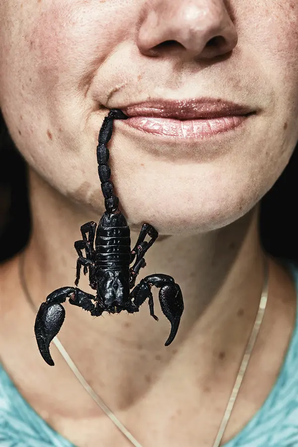 Scorpion