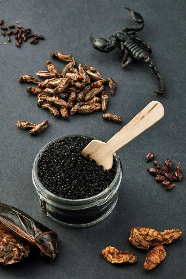 Black Ants