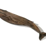 whale